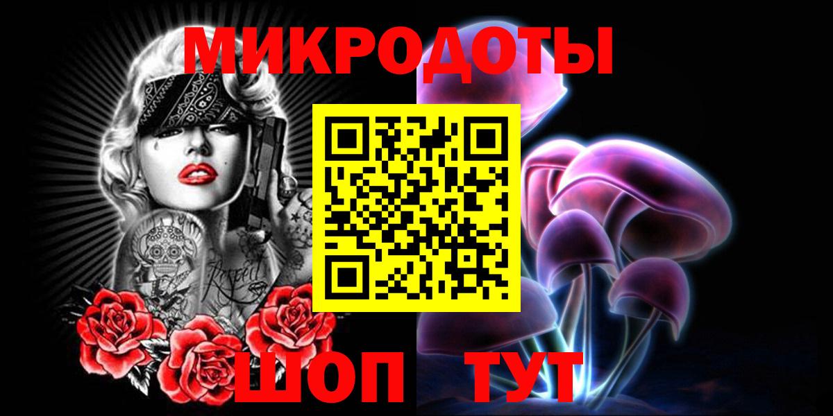 Галлюциногенные грибы Psilocybe Новочеркасск